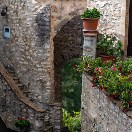 Il Tripode - Le Dimore Del Bordone Vallo di Nera Exteriér fotografie